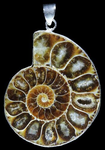 Fossil Ammonite Pendant - Million Years Old #89821